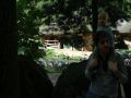 Nhled: Plameci