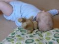 Nhled: Tuli tuli medvduli