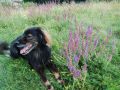 Nhled: Bert na vlet s pnkem