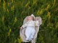 Nhled: Jchym a lut kytky