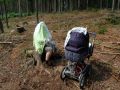 Nhled: Lesn protikom kojen