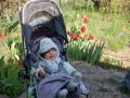 Nhled: Tulipny kvetou, Jchym j koupac chlebek