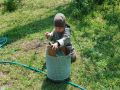 Nhled: up s n do kble a radi zavt oi