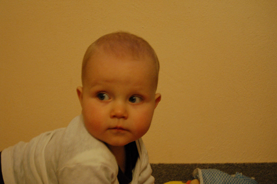 Velk hlava
