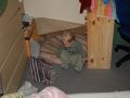 Nhled: Prnik na ps zem