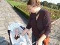 Nhled: Ekokoustko z kukuinho plastu