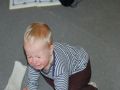 Nhled: Njak velk netst ...