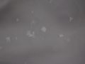 Nhled: Tomu nebudete vit, 