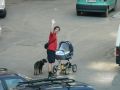 Nhled: Na vychzce s ttou