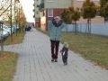 Nhled: Na prochzce 