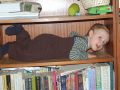 Nhled: otek knihovnek
