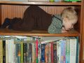 Nhled: Palka knin