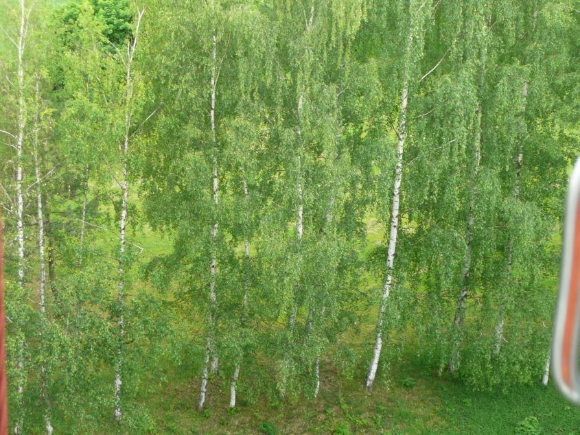 Vhled z okna porodnice