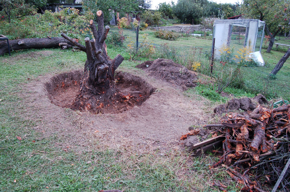 Podkopan meruka