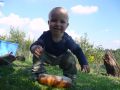 Nhled: Podn ten chleba okouu